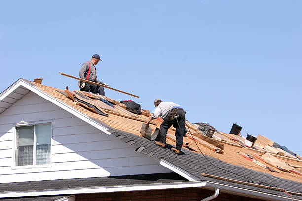 Best Asphalt Shingle Roofing  in Clifton, AZ